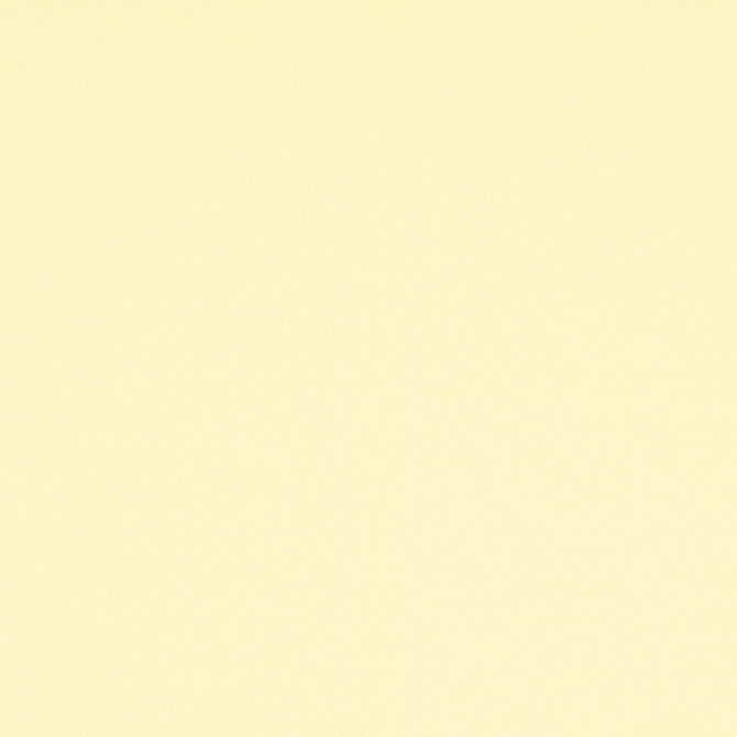 040.17 beige