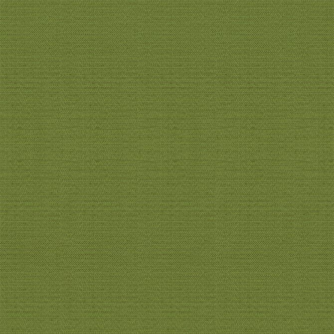 598.83 kiwi